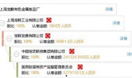 南宁鹏宝最新爆料,揭秘鹏宝未来发展新动向