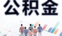 四川今日关注爆料公告最新,最新爆料揭露惊人内幕