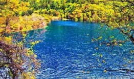 最新的风景爆料,最新风景爆料，带你领略绝美风光