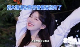 刘大锤最新爆料赵露思12人,从默默无闻到璀璨星途