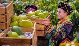 攀枝花芒果爆料视频最新,口感爆表，品质卓越！