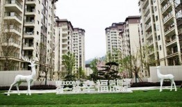 长沙龙悦府最新爆料事件,揭秘楼盘背后的真相与争议