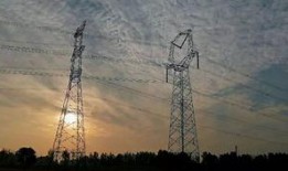 鲁山爆料最新消息新闻,揭秘事件背后惊人真相