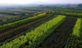 遵化最新爆料2019,揭秘那年那月那些事儿