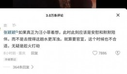 张兰最新爆料录音视频,揭秘企业内幕与个人争议