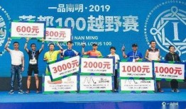 淘游客服最新爆料,揭秘最新购物体验升级细节