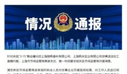 南充企业爆料案件最新,揭开背后惊人真相