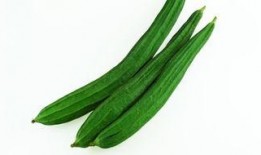 吃瓜爆料新解读最新一期,揭秘最新一期幕后真相