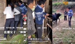 最新爆料牛爱芳的视频,揭秘背后惊人真相