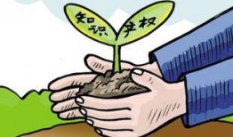 保利民宿爆料案例最新消息,最新进展揭秘行业乱象