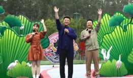 镇平爆料传销事件视频最新,揭秘新型传销手段与受害者心声