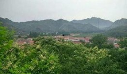 遵化最新爆料2019,揭秘那年那月那些事儿