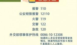 最新头条爆料电话号码,神秘电话号码引发热议，背后真相令人震惊！