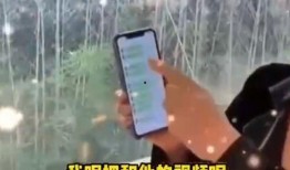 张兰最新爆料录音视频,揭秘企业内幕与个人争议