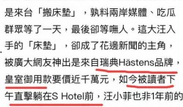 张兰最新爆料录音视频,揭秘企业内幕与个人争议