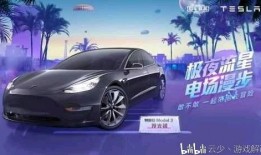 特斯拉载具皮肤爆料最新,未来出行新风尚