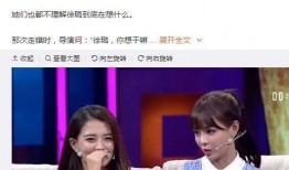 沈梦辰徐璐最新爆料,揭秘娱乐圈背后的惊人真相