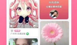 火影快报最新爆料视频下载,揭秘忍者世界新篇章！