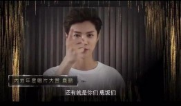 刘海柱爆料视频大全集最新,揭秘娱乐圈不为人知的秘密与真相