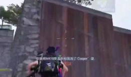 神爽爷最新爆料,娱乐圈幕后真相大曝光！