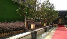 天津绿地爆料最新消息,揭秘项目进展与未来规划