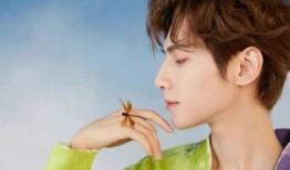 罗云熙最新八卦爆料,罗云熙新恋情曝光？揭秘明星背后的情感纠葛