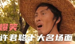 刘海柱爆料视频大全集最新,揭秘娱乐圈不为人知的秘密与真相